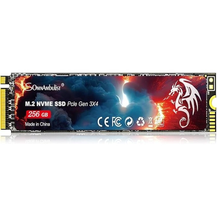 SSD-накопичувач SomnAmbulist 256 ГБ M.2 NVMe (SomnAmbulist 256 ГБ M.2 NVMe)
