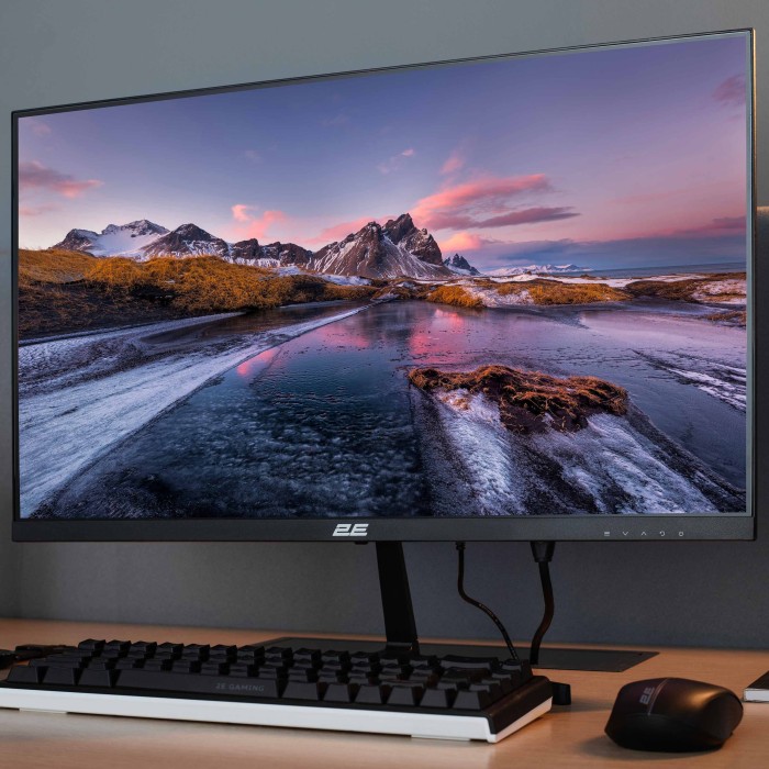 Монітор 2E 23.8 D2423B D-Sub, HDMI, MM, IPS, 75Hz, FreeSync (2E-D2423B-01.UA)