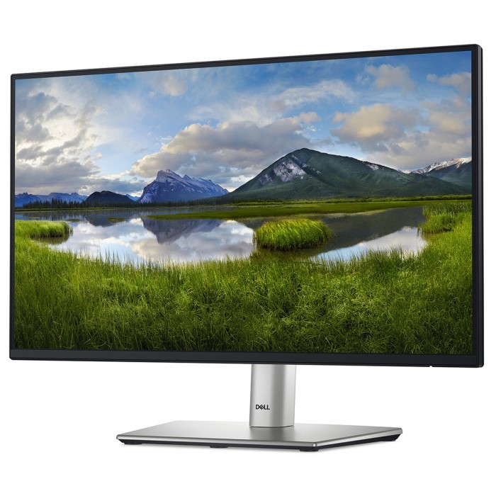 Монітор DELL 21.5 P2225H D-Sub, HDMI, DP, USB3.2, IPS, 100Hz, sRGB 99%, Pivot (210-BMHD)