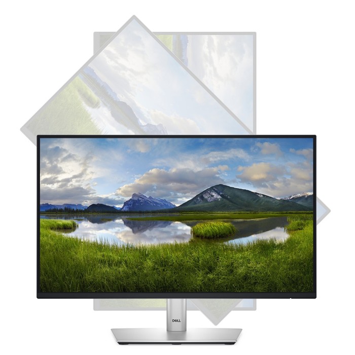 Монітор DELL 21.5 P2225H D-Sub, HDMI, DP, USB3.2, IPS, 100Hz, sRGB 99%, Pivot (210-BMHD)