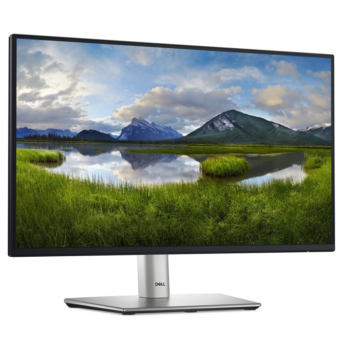 Монітор DELL 21.5 P2225H D-Sub, HDMI, DP, USB3.2, IPS, 100Hz, sRGB 99%, Pivot (210-BMHD)