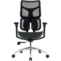 Крісло офісне Sihoo DORO S100 Mesh Black (S100-M301)