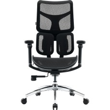 Крісло офісне Sihoo DORO S100 Mesh Black (S100-M301)