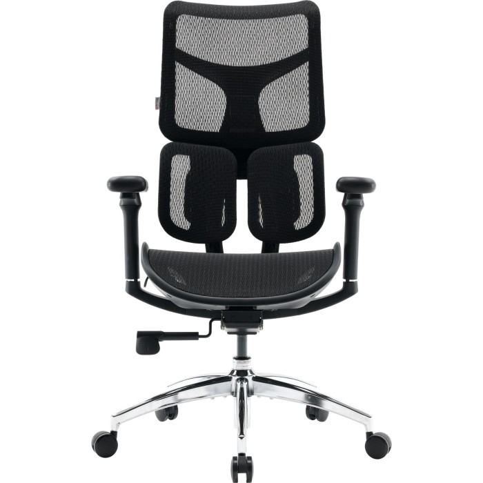 Крісло офісне Sihoo DORO S100 Mesh Black (S100-M301)