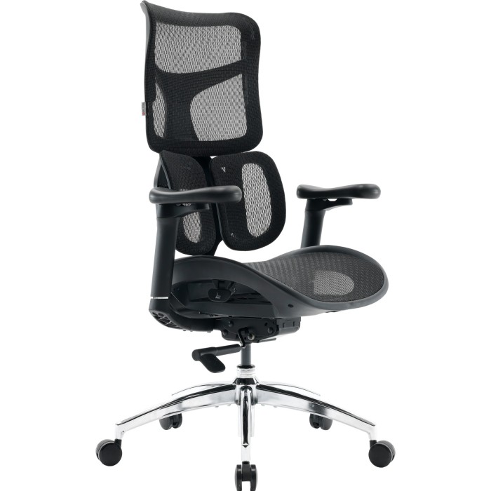 Крісло офісне Sihoo DORO S100 Mesh Black (S100-M301)