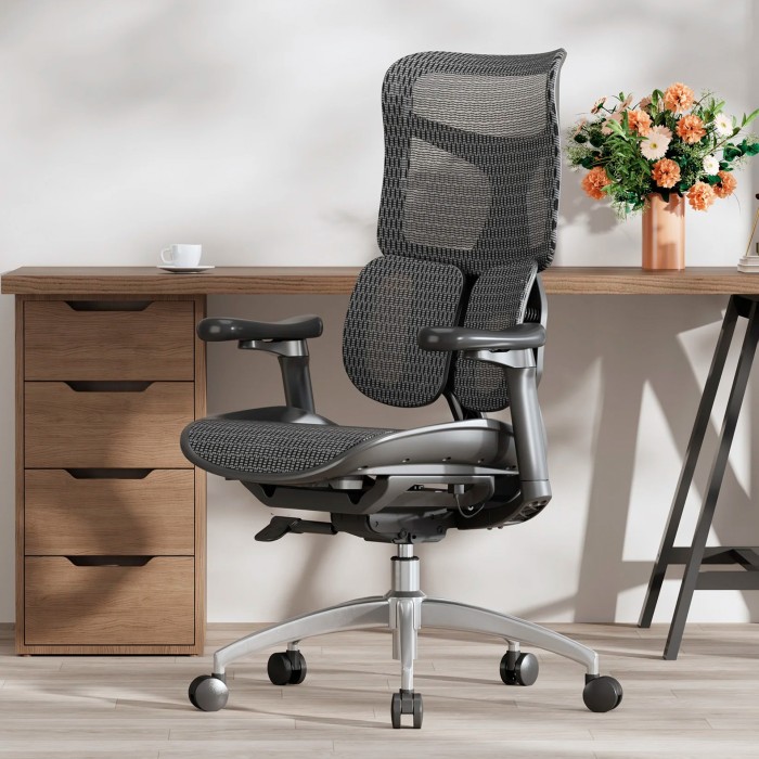 Крісло офісне Sihoo DORO S100 Mesh Black (S100-M301)