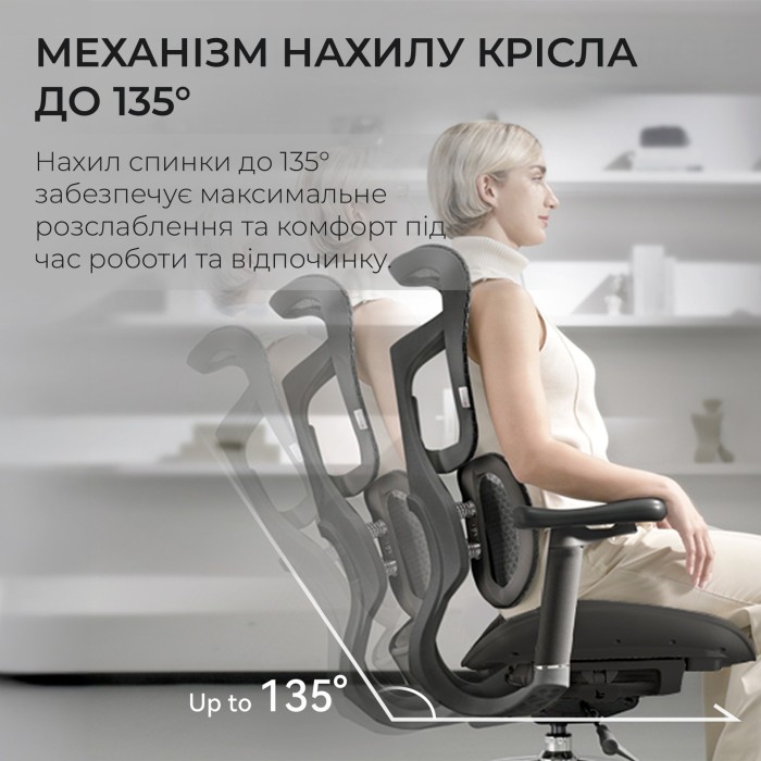 Крісло офісне Sihoo DORO S100 Mesh Black (S100-M301)