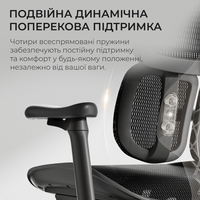 Крісло офісне Sihoo DORO S100 Mesh Black (S100-M301)