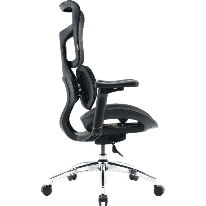 Крісло офісне Sihoo DORO S100 Mesh Black (S100-M301)