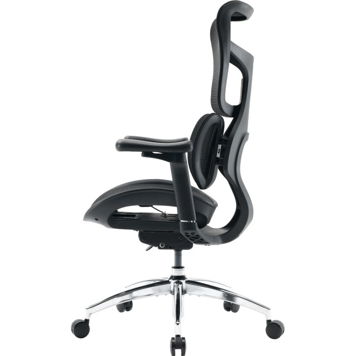 Крісло офісне Sihoo DORO S100 Mesh Black (S100-M301)