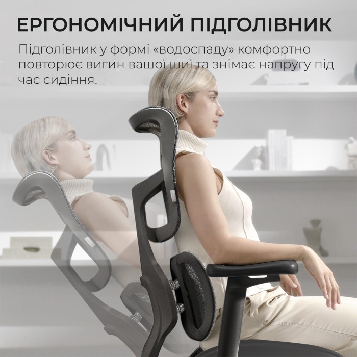 Крісло офісне Sihoo DORO S100 Mesh Black (S100-M301)