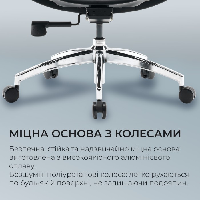 Крісло офісне Sihoo DORO S100 Mesh Black (S100-M301)