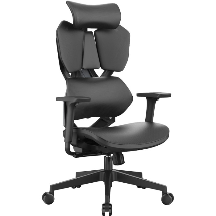 Крісло геймерське Sihoo Xallking X5C Mesh Black (X5C-301)