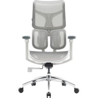 Крісло офісне Sihoo DORO S100 Mesh White (S100-M302)