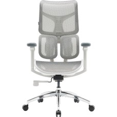 Крісло офісне Sihoo DORO S100 Mesh White (S100-M302)