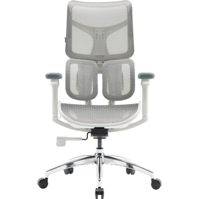 Крісло офісне Sihoo DORO S100 Mesh White (S100-M302)