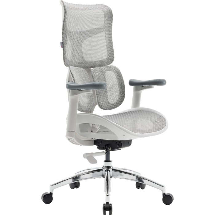 Крісло офісне Sihoo DORO S100 Mesh White (S100-M302)