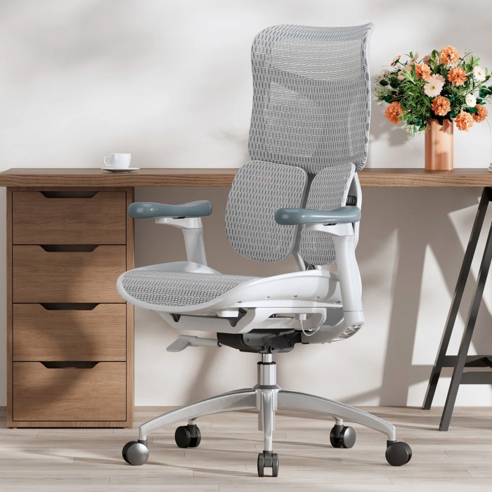 Крісло офісне Sihoo DORO S100 Mesh White (S100-M302)