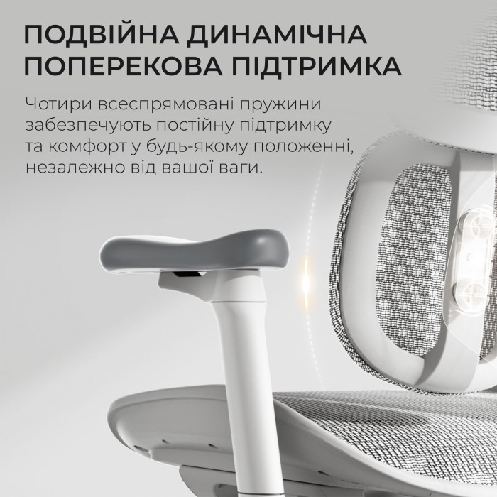 Крісло офісне Sihoo DORO S100 Mesh White (S100-M302)