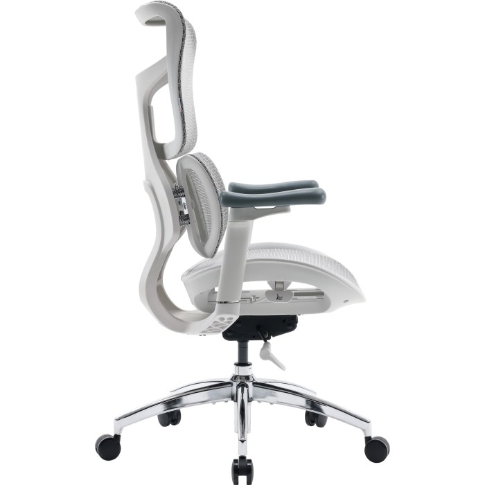 Крісло офісне Sihoo DORO S100 Mesh White (S100-M302)