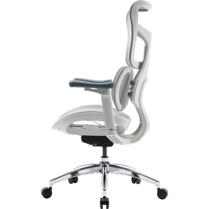 Крісло офісне Sihoo DORO S100 Mesh White (S100-M302)